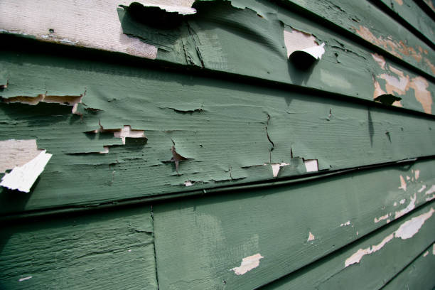Best Construction Debris Removal  in Haliimaile, HI